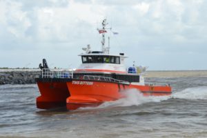 Image of TMS Bittern